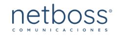 NETBOSS COMUNICACIONES SL